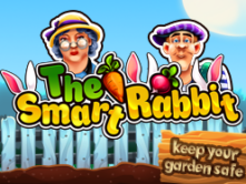 The Smart Rabbit