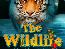 The Wildlife 2